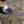 Load image into Gallery viewer, Titanium long handled spoon, backpacking and camping, Canada