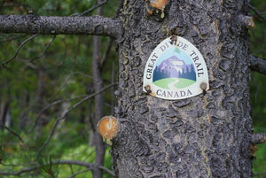 Great Divide Trail logo