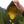 Load image into Gallery viewer, Summit Sprinkles
