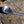 Load image into Gallery viewer, Titanium long handled spoon, backpacking and camping, Canada

